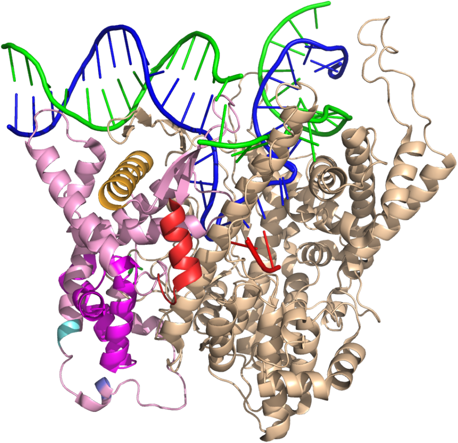 Mechanism and Structure - Martin Lab